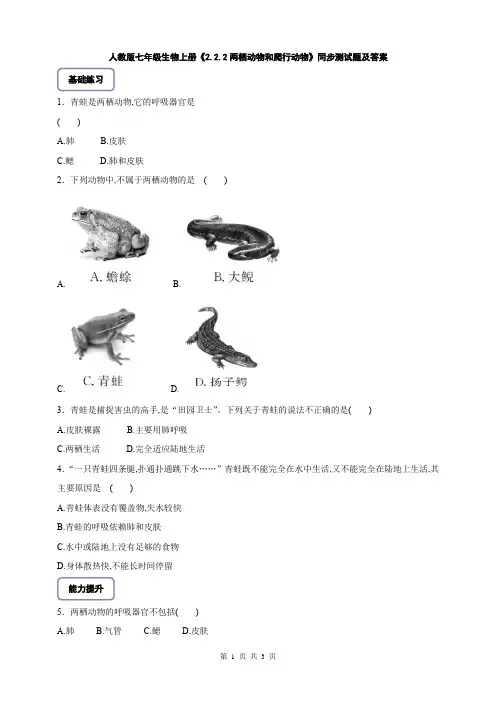 人教版七年级生物上册《2.2.2两栖动物和爬行动物》同步测试题及答案