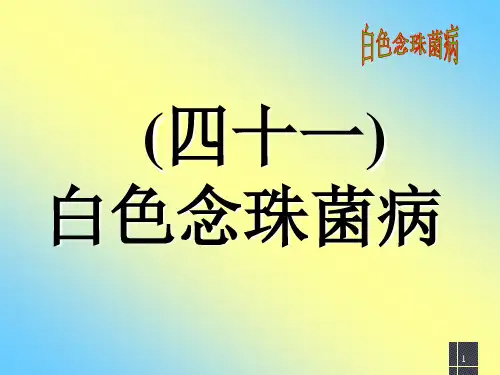 白色念珠菌病PPT课件