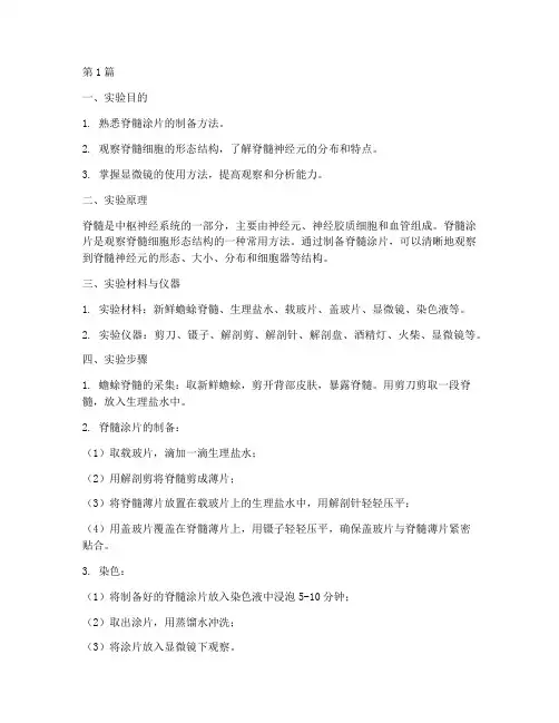 脊髓涂片观察实验报告(3篇)