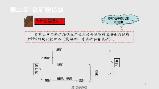 铁矿粉造块PPT课件