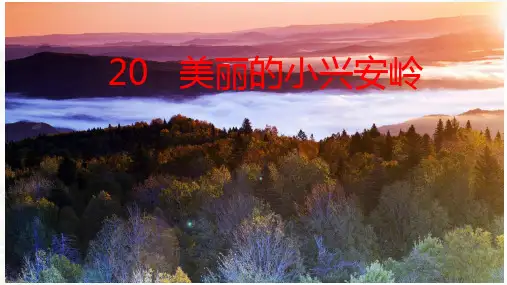 20.《美丽的小兴安岭》课件(共34张PPT)