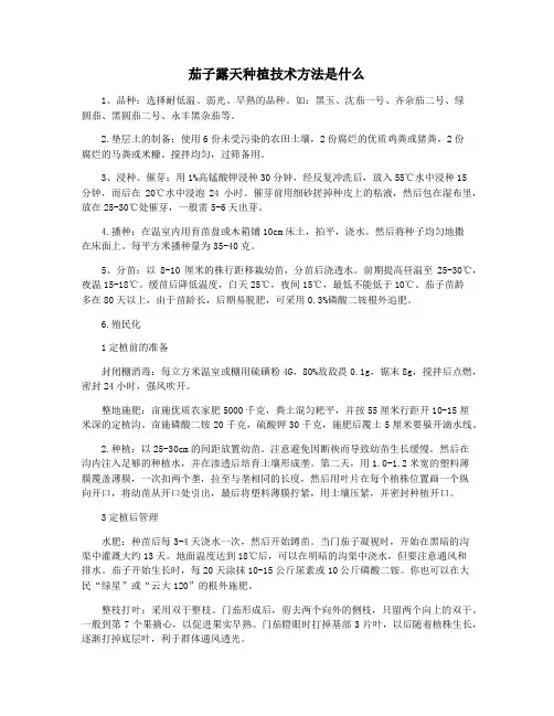 茄子露天种植技术方法是什么