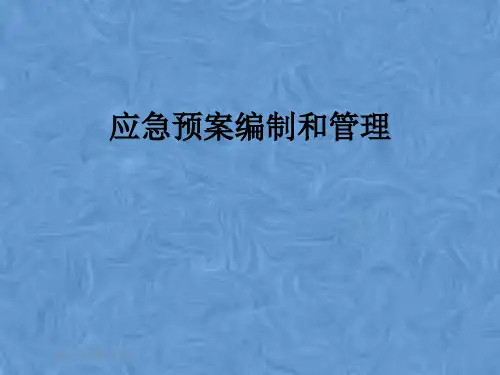 应急预案编制和管理