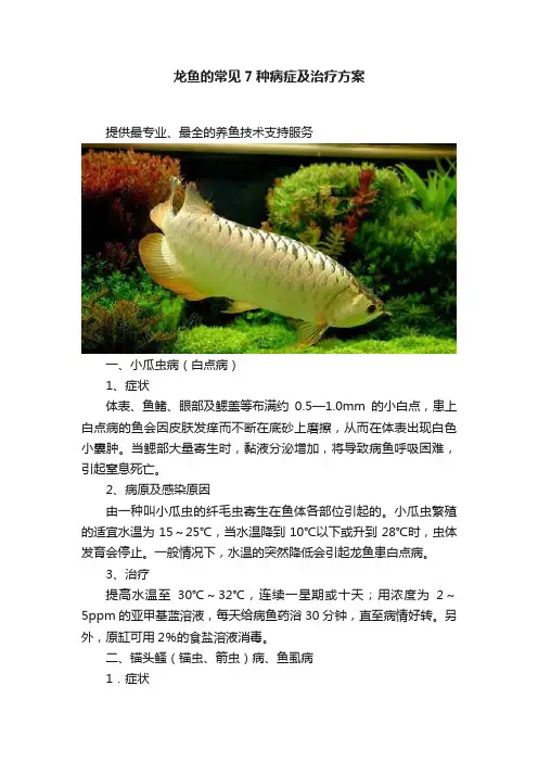 龙鱼的常见7种病症及治疗方案