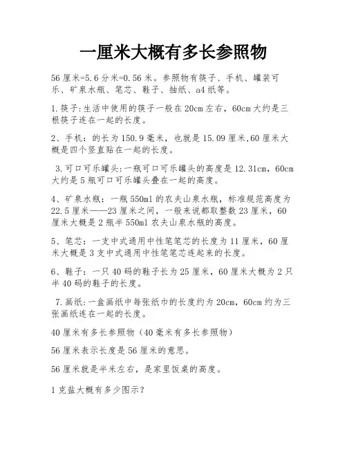 一厘米大概有多长参照物