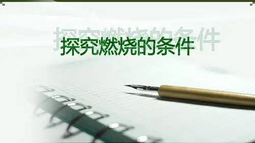 鲁教版九年级化学上册 探究燃烧的条件 定量研究化学反应