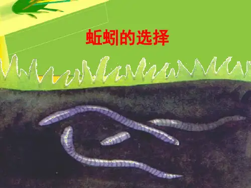 4、蚯蚓的选择PPT课件