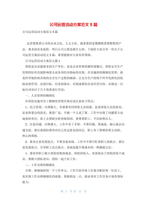 公司运营活动方案范文5篇