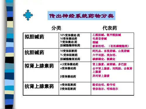 传出神经系统药物分类