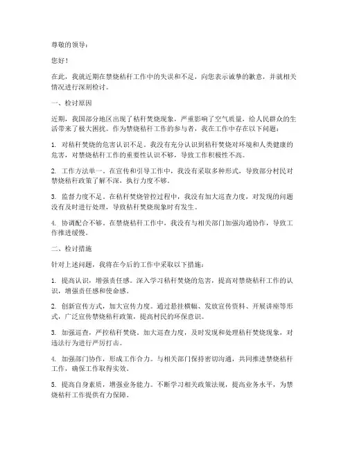 禁烧秸秆工作检讨书