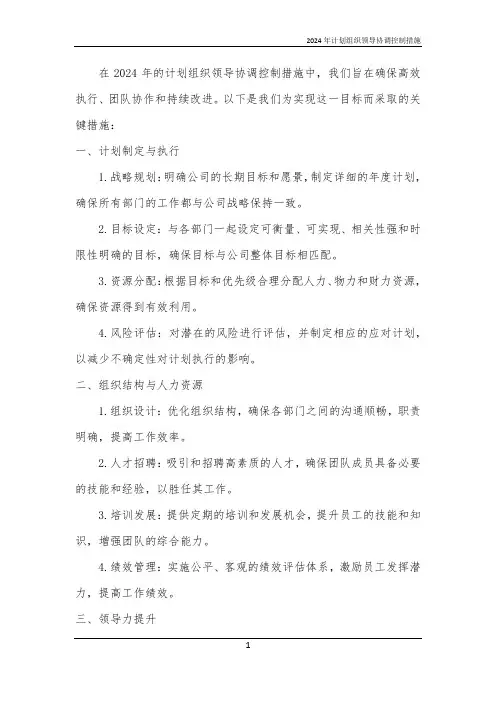 2024年计划组织领导协调控制措施