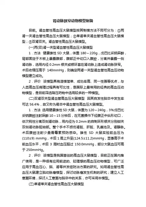 肾动脉狭窄动物模型制备