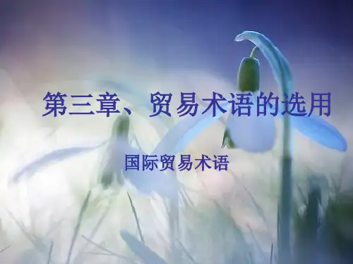 贸易术语的选用