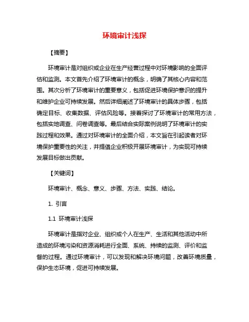 环境审计浅探