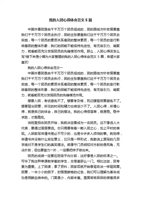 我的入团心得体会范文5篇