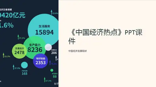《中国经济热点》课件2