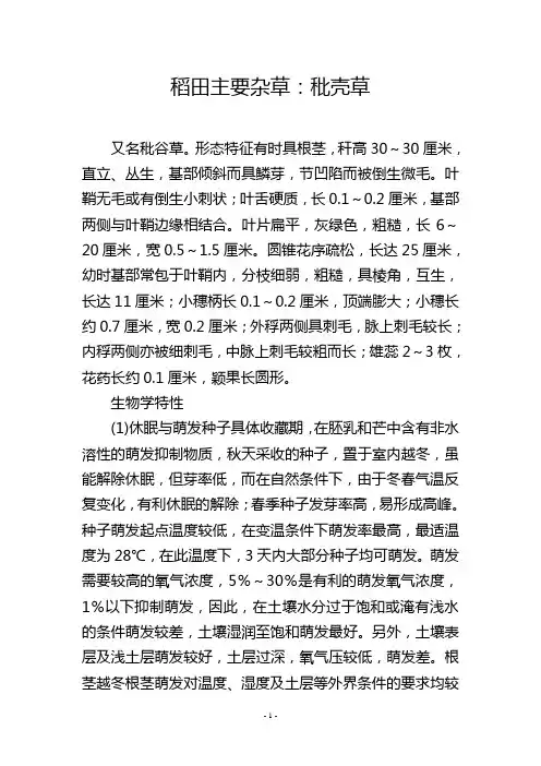 稻田主要杂草：秕壳草