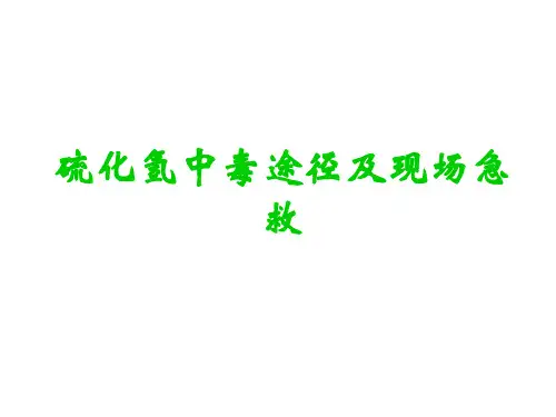 《硫化氢防护培训》PPT课件