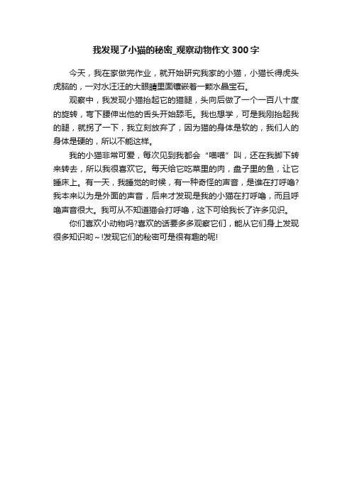 我发现了小猫的秘密_观察动物作文300字