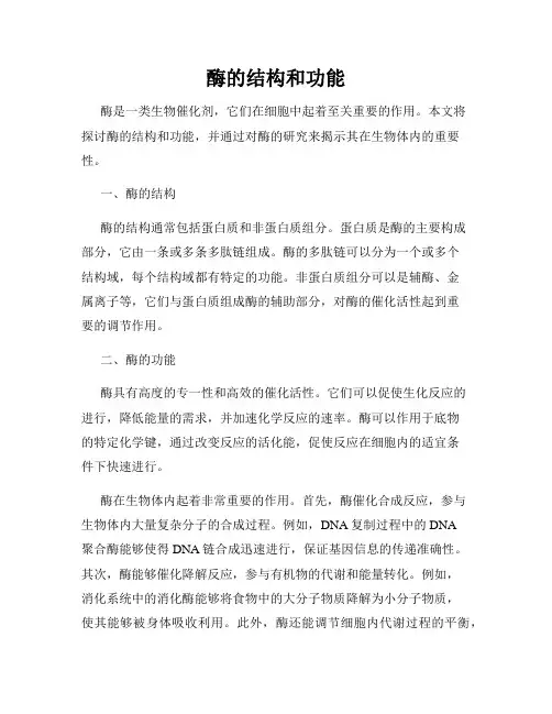 酶的结构和功能