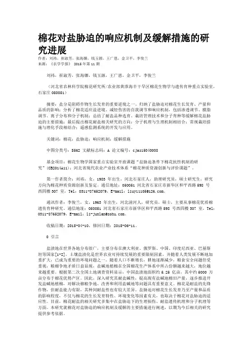 棉花对盐胁迫的响应机制及缓解措施的研究进展