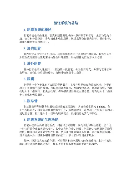 胆道系统的总结