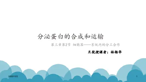 分泌蛋白的合成和运输 ppt课件