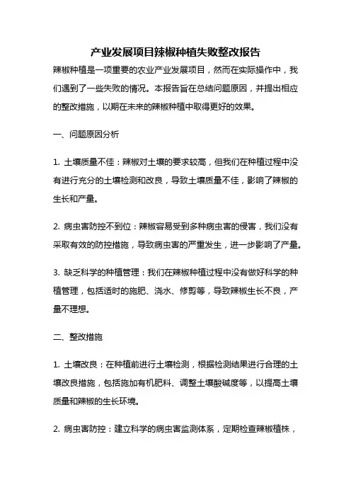 产业发展项目辣椒种植失败整改报告