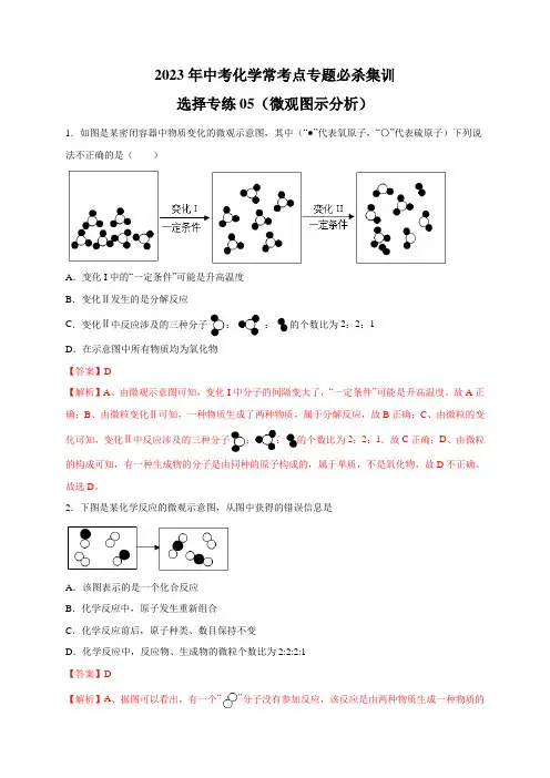 选择专练05(微观图示分析20题)-2023年中考化学常考点专题必杀集训(人教版)(解析版)