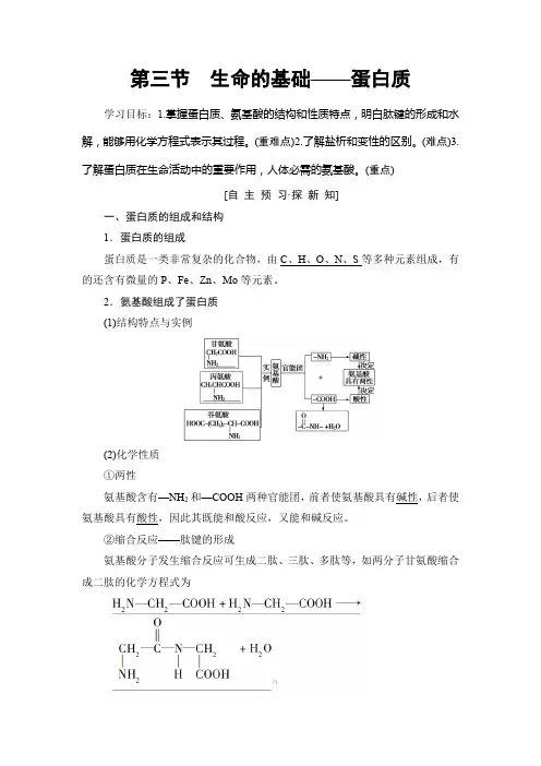 2019-2020学年人教版高中化学选修一学案：第1章 第3节 生命的基础——蛋白质 Word版含答案