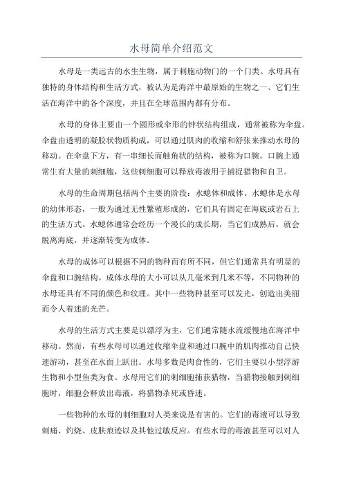 水母简单介绍范文