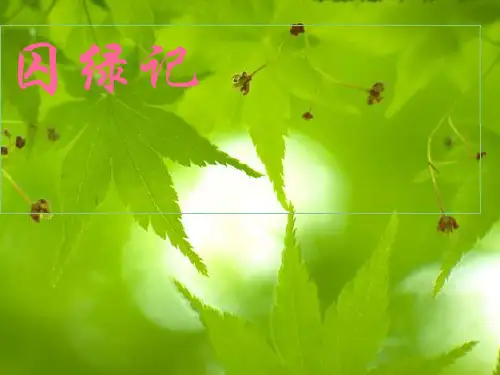 九年级语文上册 第2课《囚绿记》课件 语文