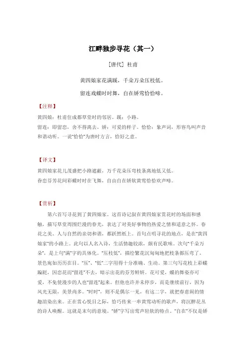 江畔独步寻花(其一)——杜甫