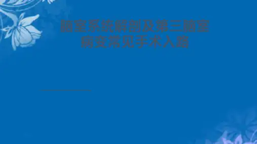 脑室系统解剖及第三脑室手术入路