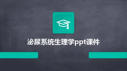 2024泌尿系统生理学ppt课件