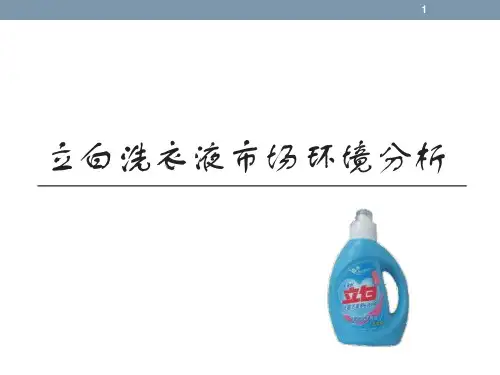立白洗衣液市场环境分析ppt课件