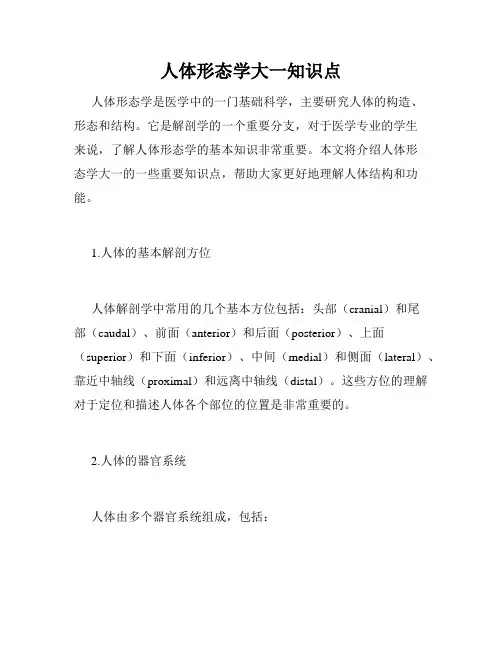 人体形态学大一知识点