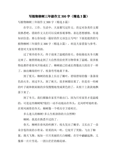 写植物柳树三年级作文300字(3篇)