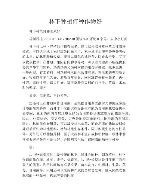 林下种植何种作物好