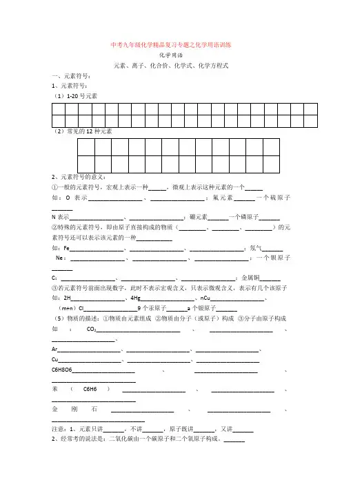 初中中考九年级化学精品复习专题之化学用语训练