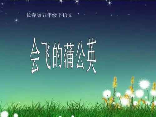 《会飞的蒲公英》