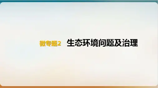 高考地理一轮专题复习微专题2生态环境问题及治理PPT课件