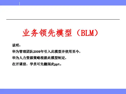 业务领先模型BLM模型PPT课件