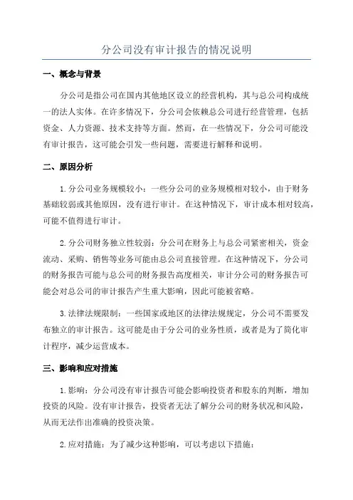分公司没有审计报告的情况说明