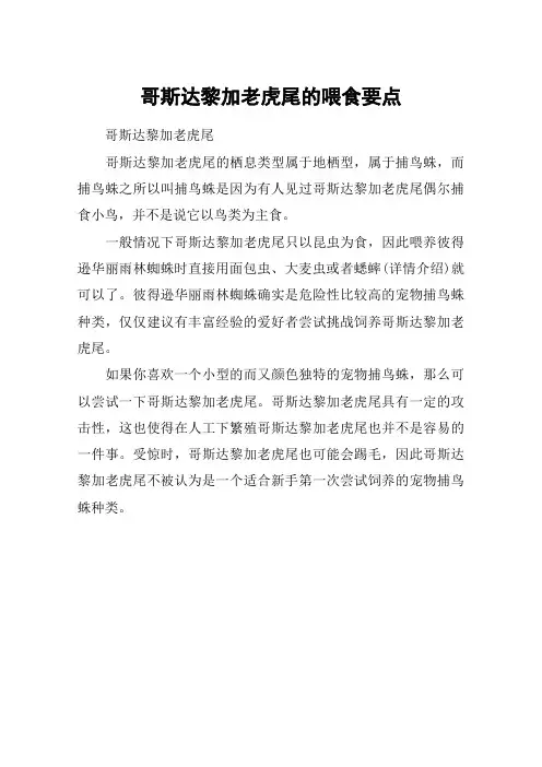 哥斯达黎加老虎尾的喂食要点