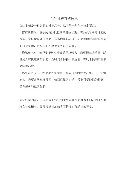 白沙枇杷种植技术