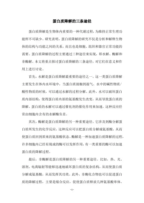 蛋白质降解的三条途径