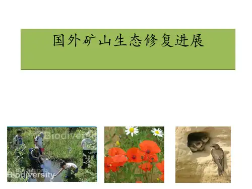 国外矿山生态修复进展ppt课件