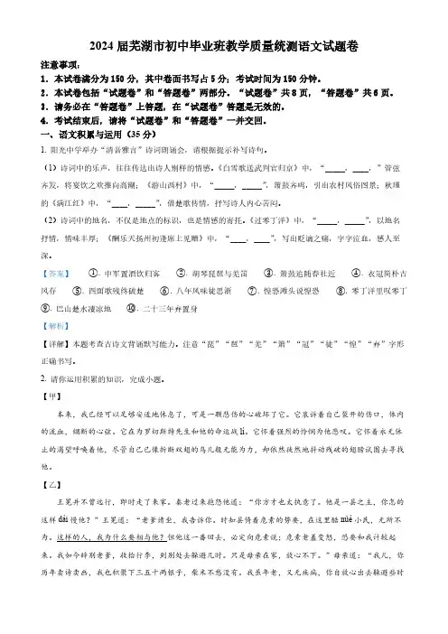 2024年安徽省芜湖市中考二模语文试题(解析版)