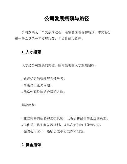 公司发展瓶颈与路径